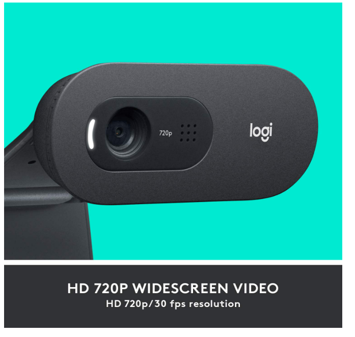 Webcamera Logitech C505 HD | 720p HD External USB Camera for Desktop or Laptop with Long-Range Microphone, Compatible with PC or Mac - Grey