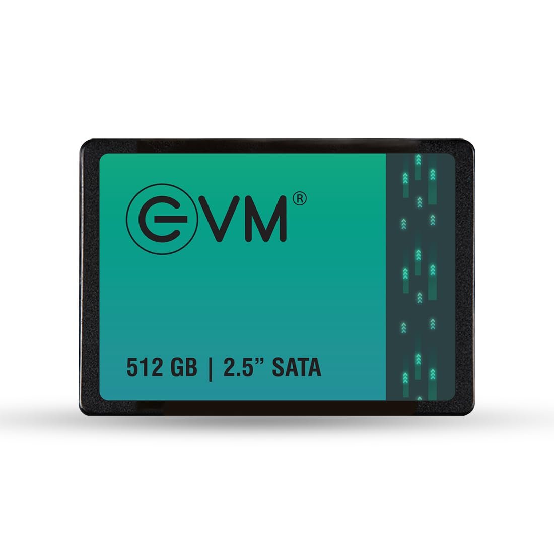 Harddisk EVM mSATA 512GB SSD EVMMS/512GB | 3D TLC NAND FLASH SATA 6.0Gbps Interface, 520MB/s Read & 500MB/s Write Speed, Fast Performance Ultra Low Power Consumption, Black