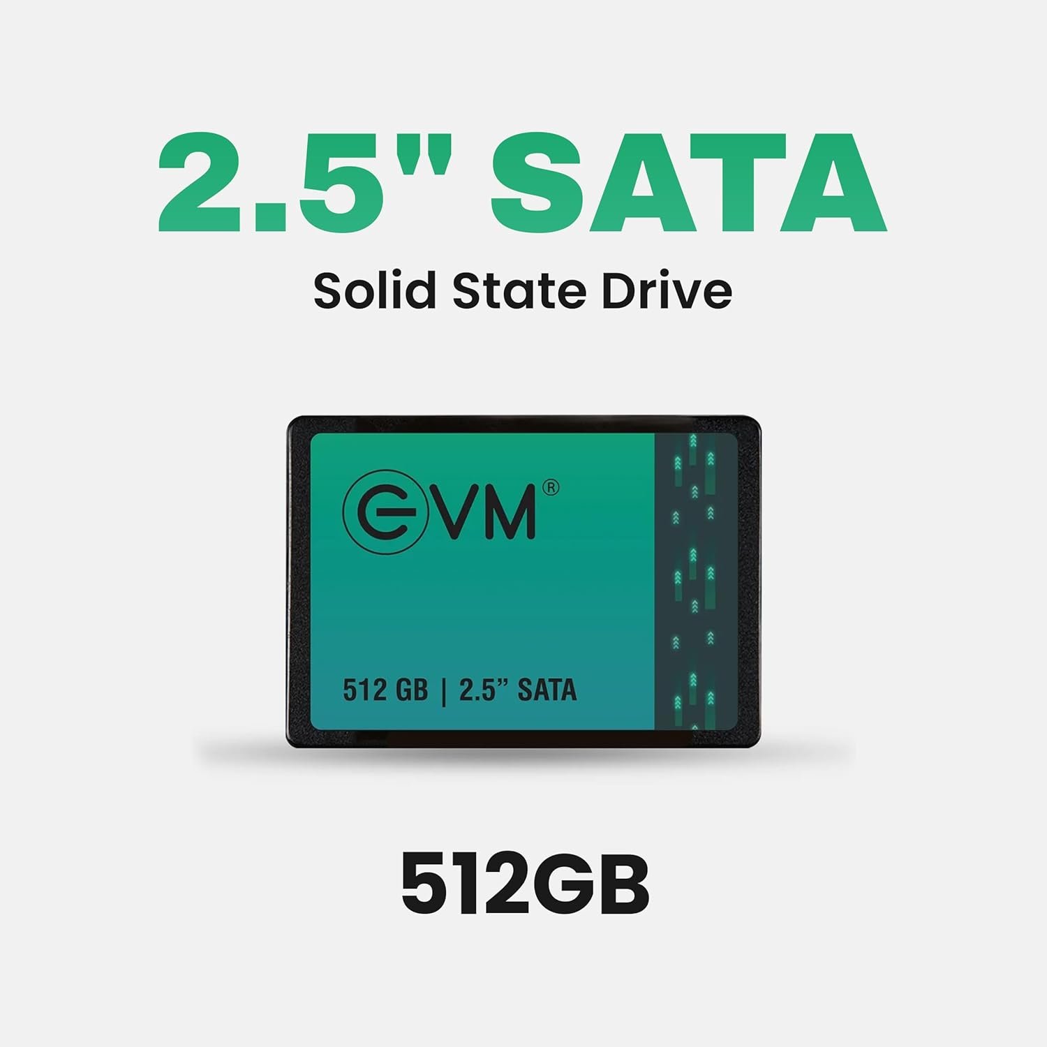 Harddisk EVM mSATA 512GB SSD EVMMS/512GB | 3D TLC NAND FLASH SATA 6.0Gbps Interface, 520MB/s Read & 500MB/s Write Speed, Fast Performance Ultra Low Power Consumption, Black