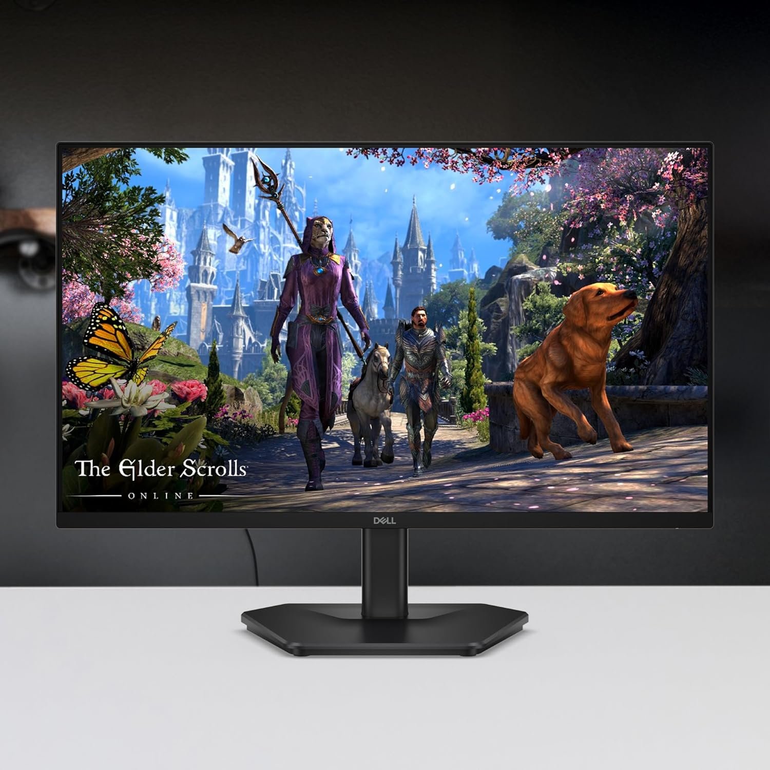 Monitor Dell 27" SE2725HG | FHD (1920x1080) IPS, 200Hz, 1ms GtG, AMD FreeSync Premium, HDR10, 300 nits, 99% sRGB, 2x HDMI, DisplayPort 1.4, 3-side slim bezels, Tilt, Black