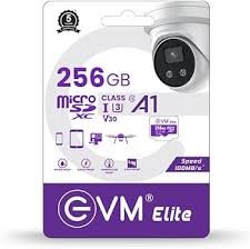 Card MicroSD EVM 256GB U3 Elite XC Class10 EETF/256GU3 | 100 MB/s Read Speed, Support SD SPI Mode, Card Capacity of Non Secure & Secure Area Support, Fast Data Transfer, Compliant with the Highest Security of CPRM Standard