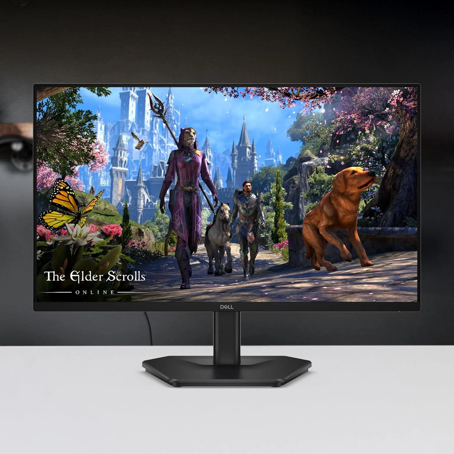 Dell SE2725HG 27-inch FHD Fast IPS Gaming Monitor | 200Hz | 1ms GTG | AMD FreeSync Premium | HDR | 99% sRGB | HDMI + DisplayPort
